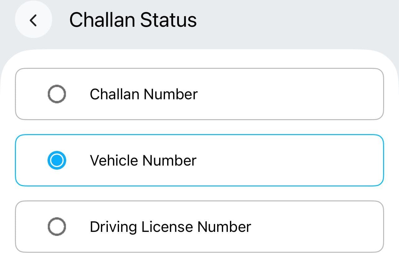 View Challan Status